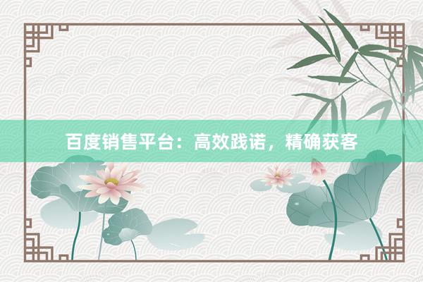 百度销售平台：高效践诺，精确获客