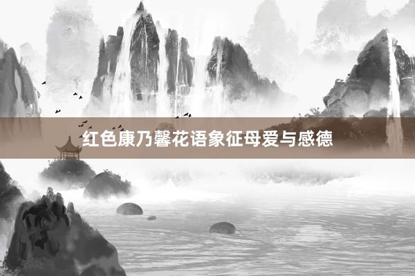 红色康乃馨花语象征母爱与感德