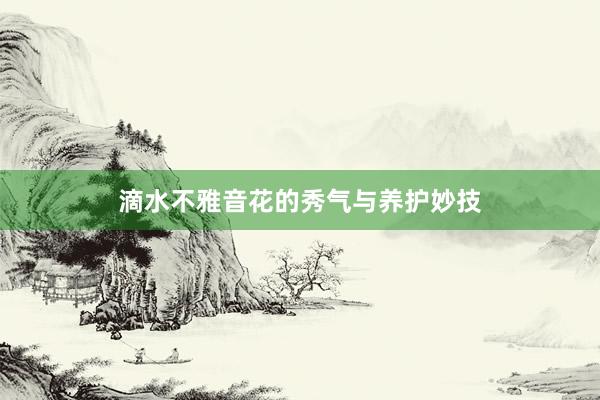 滴水不雅音花的秀气与养护妙技