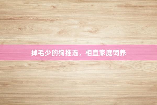 掉毛少的狗推选，相宜家庭饲养